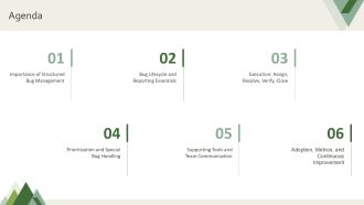 Bug Management Process PPT Template VA Impactful Images