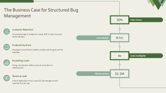 Bug Management Process PPT Template VA Downloadable Images