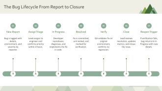 Bug Management Process PPT Template VA Researched Images