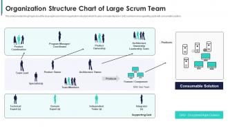 Build a scrum team structure organization structure chart of large scrum team