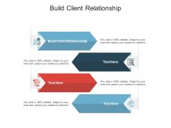 Build client relationship ppt powerpoint presentation pictures gridlines cpb