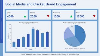 Building Brand Equity Through Cricket PPT Graphics AT Best Professionally