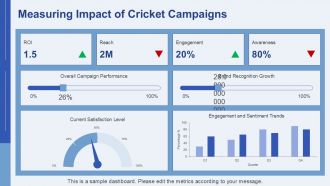 Building Brand Equity Through Cricket PPT Graphics AT Professional Professionally