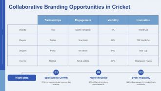 Building Brand Equity Through Cricket PPT Graphics AT Visual Professionally