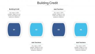 Building Credit Ppt Powerpoint Presentation Guidelines Cpb