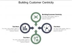 Building customer centricity ppt powerpoint presentation model diagrams cpb