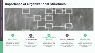 Building Effective Organizational Structures PPT Presentation AT Graphical