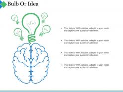 Bulb or idea ppt summary guidelines