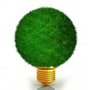 Bulb shapes plant shows green energy stock photo