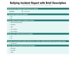 Bullying incident report with brief description