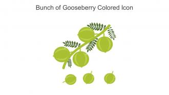 Bunch Of Gooseberry Colored Icon In Powerpoint Pptx Png And Editable Eps Format
