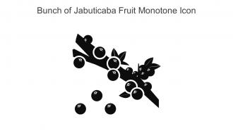 Bunch Of Jabuticaba Fruit Monotone Icon In Powerpoint Pptx Png And Editable Eps Format
