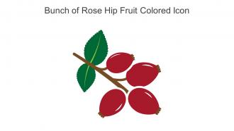 Bunch Of Rose Hip Fruit Colored Icon In Powerpoint Pptx Png And Editable Eps Format