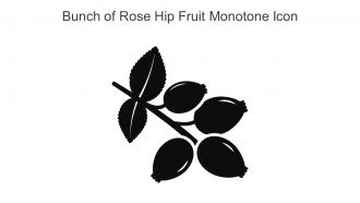 Bunch Of Rose Hip Fruit Monotone Icon In Powerpoint Pptx Png And Editable Eps Format