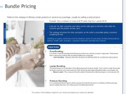 Bundle pricing ppt powerpoint presentation model graphics example