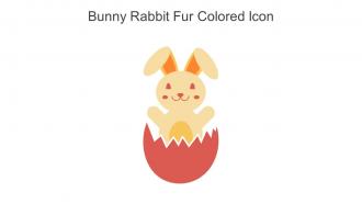 Bunny Rabbit Fur Colored Icon In Powerpoint Pptx Png And Editable Eps Format