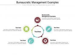 Bureaucratic management examples ppt powerpoint presentation outline demonstration cpb