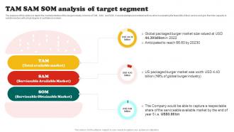 Burger Business Plan Tam Sam Som Analysis Of Target Segment BP SS