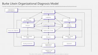 Burke Litwin Organizational Diagnosis Model