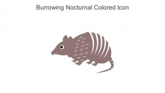 Burrowing Nocturnal Colored Icon In Powerpoint Pptx Png And Editable Eps Format