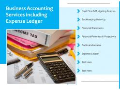 Business accounting services including expense ledger