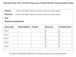 Business action plan timelines resources potential barriers responsibilities steps