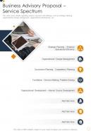 Business Advisory Proposal Service Spectrum One Pager Sample Example Document
