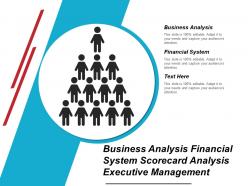 Business Analysis Financial System Scorecard Analysis Executive Management