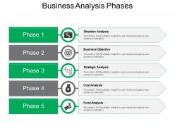 Business Analysis Phases