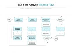 Business analysis process flow