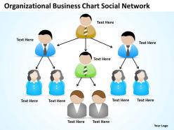 Business analyst diagrams organizational chart social network powerpoint slides