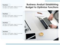 Business analyst establishing budget to optimize functions