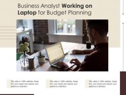 Business analyst working on laptop for budget planning