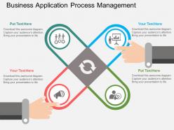 Business application process management flat powerpoint design