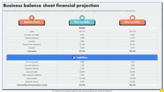 Business Balance Sheet Financial Projection