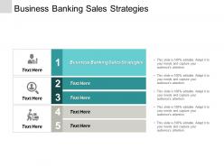 Business banking sales strategies ppt powerpoint presentation portfolio summary cpb