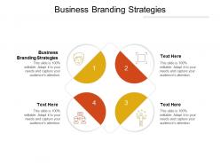 Business branding strategies ppt powerpoint presentation outline pictures cpb
