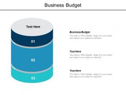 Business budget ppt powerpoint presentation ideas background images cpb