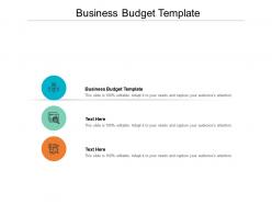 Business budget template ppt powerpoint presentation infographics ideas cpb