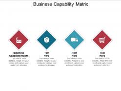 Business capability matrix ppt powerpoint presentation styles background image cpb
