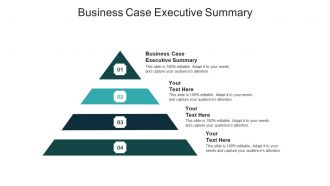 Business case executive summary ppt powerpoint presentation summary examples cpb