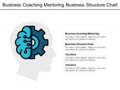 Business coaching mentoring business structure chart succession management cpb