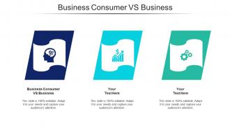 Business Consumer VS Business Ppt PowerPoint Presentation Icon Example File Cpb