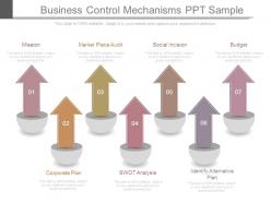 Business control mechanisms ppt sample