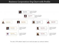 Business corporation org chart with profile