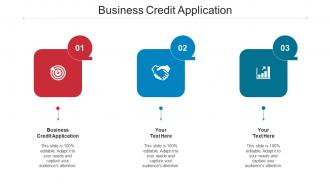 Business Credit Application Ppt Powerpoint Presentation Summary Information Cpb