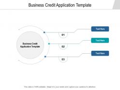 Business credit application template ppt powerpoint presentation show background cpb