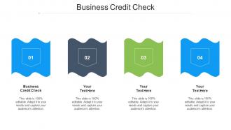 Business Credit Check Ppt Powerpoint Presentation Summary Model Cpb