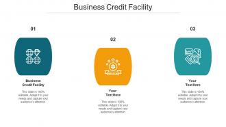 Business Credit Facility Ppt Powerpoint Presentation Gallery Skills Cpb