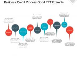 Business credit process good ppt example